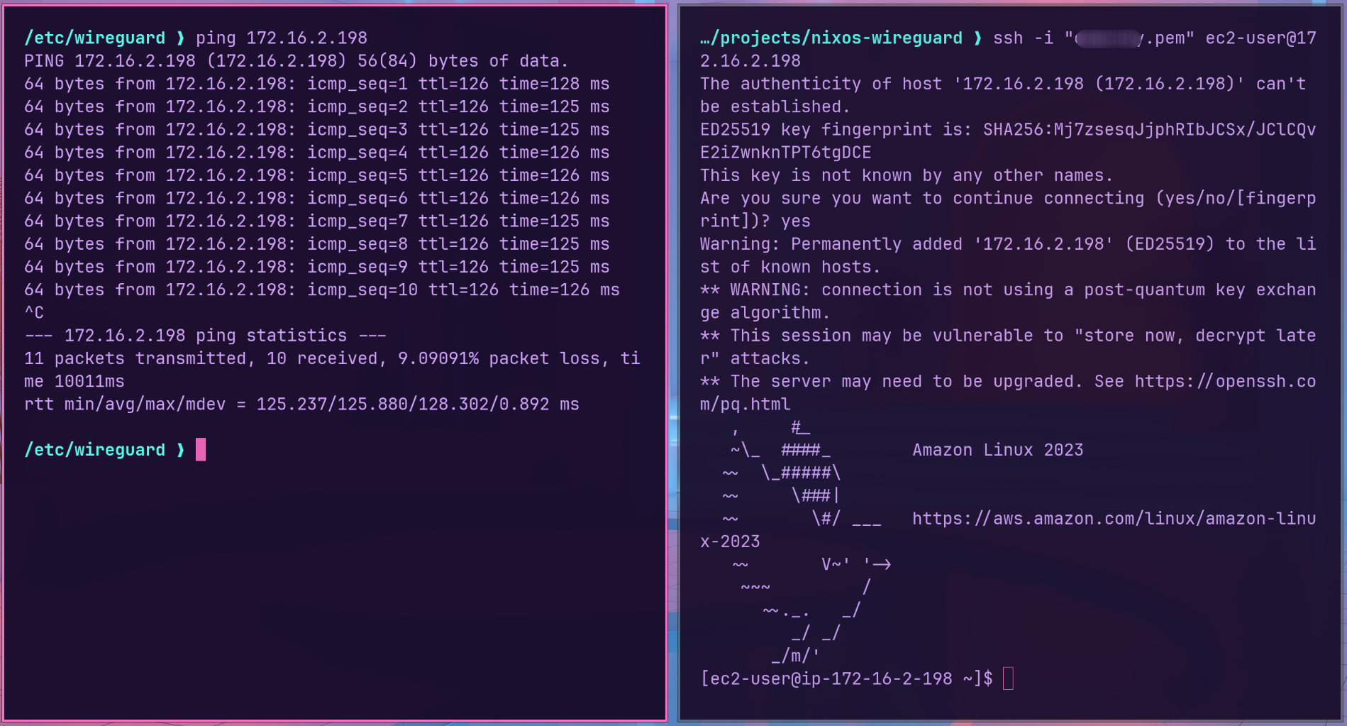 Ping desde el equipo local a la IP privada del servidor de prueba en AWS